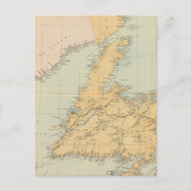 Newfoundland Postcard (Front)