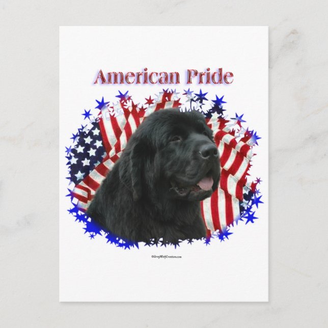 Newfoundland Pride Postcard (Front)