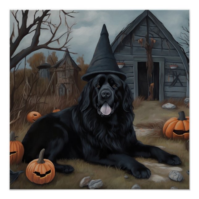 Newfoundland Pumpkins Halloween Scary  Poster (Front)