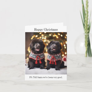Newfoundland Puppies Christmas Jumpers Card