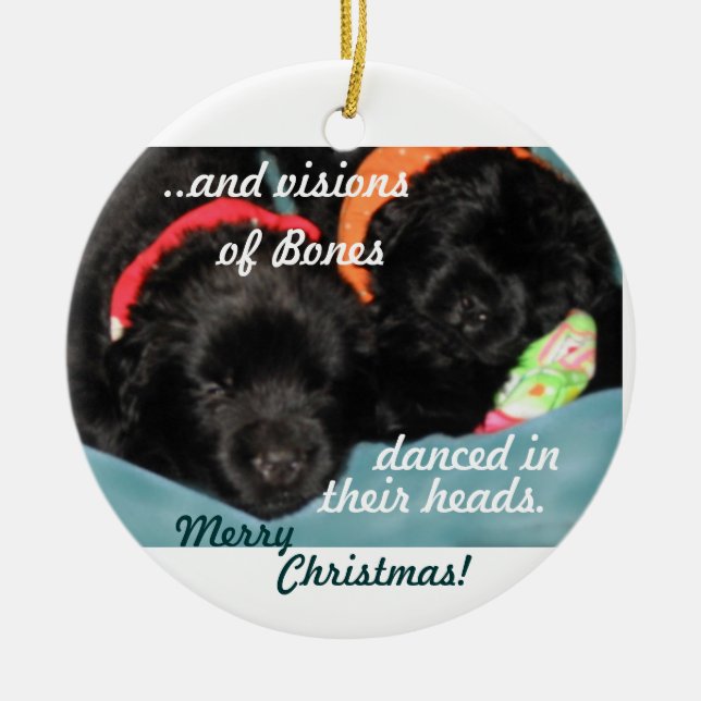 Newfoundland Puppies Christmas Ornament (Front)