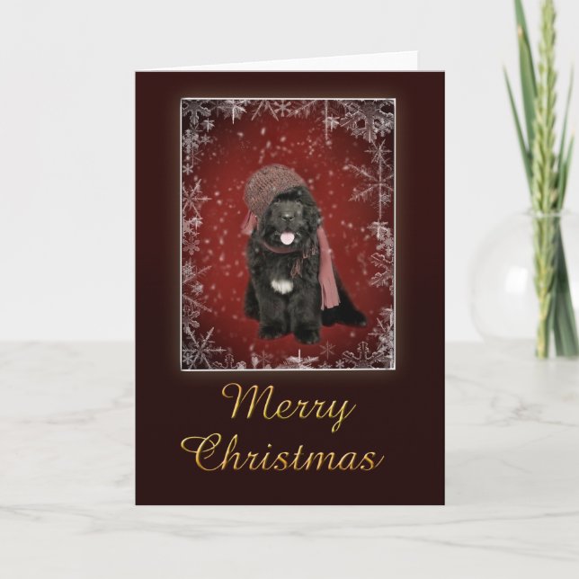 Newfoundland puppy Christmas card (Front)