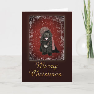 Newfoundland puppy Christmas card