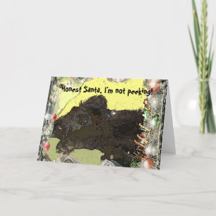 Newfoundland Puppy Christmas Card