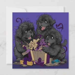 Newfoundland puppy dogs opening presents holiday card