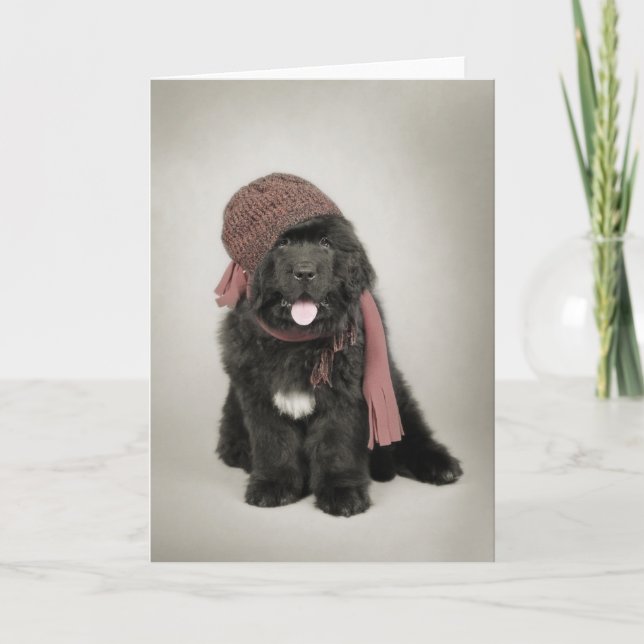 Newfoundland puppy holiday card (Front)