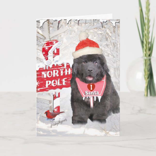 Newfoundland Puppy Loves Santa Holiday Card (Front)