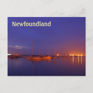 Newfoundland sailboats in marina at dusk postcard