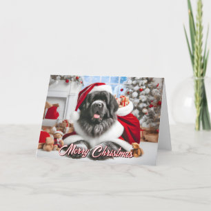 Newfoundland Santa Ready for Christmas Card