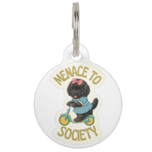 Newfoundland-sized trouble, Menace To Society
