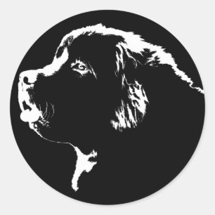 Newfoundland Stickers Newfoundland Dog Stickers