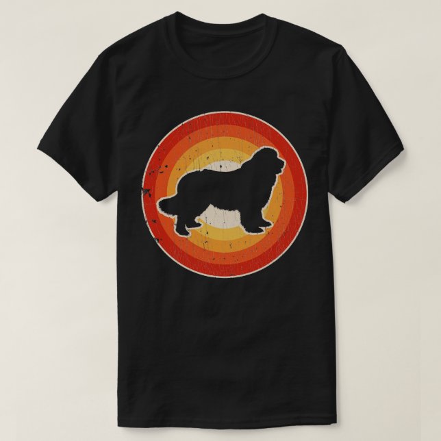 Newfoundland Sunset Retro for Men Women Boys Girls T-Shirt (Design Front)