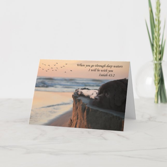 Newfoundland Thinking of you card (blank) (Front)