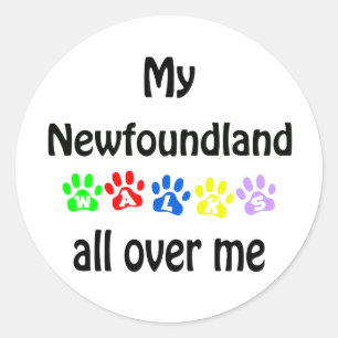 Newfoundland Walks Design Classic Round Sticker