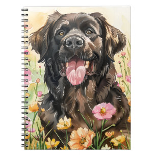 Newfoundland Watercolor Journal