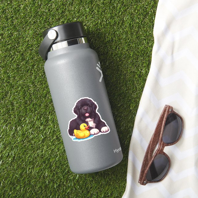 Newfoundland with a rubber duck   (HydroFlask Insitu)