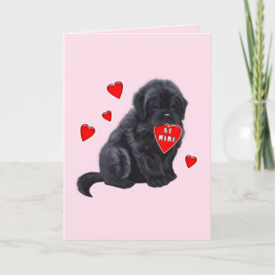 Newfoundland with Heart Valentine's Day Holiday Card