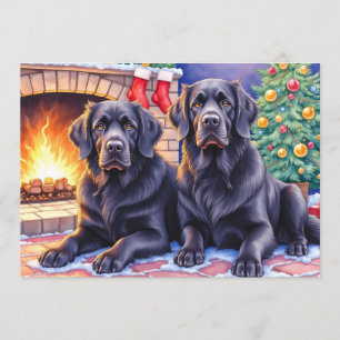 Newfoundlander Christmas Card