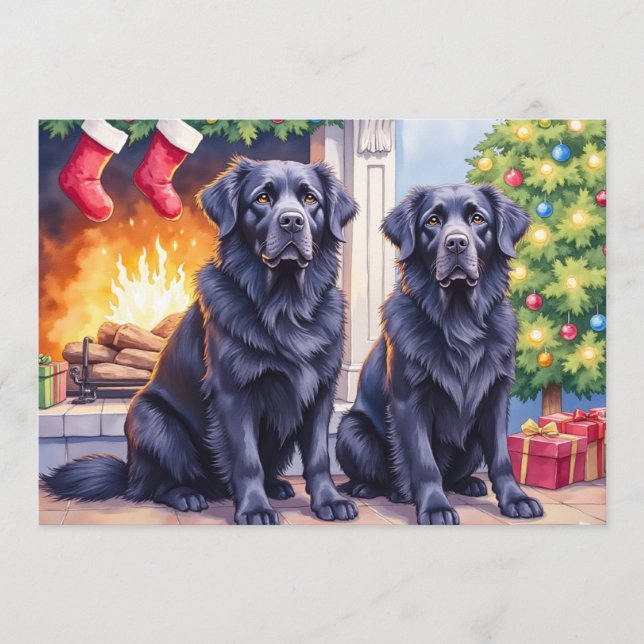 Newfoundlander Christmas Card (Front)