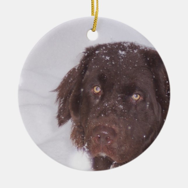 Newfy Girl Christmas Ceramic Tree Decoration (Front)