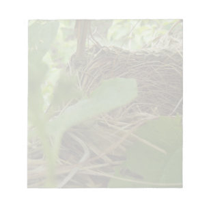 Newly Built but Empty Bird Nest in a Mulberry Tree Notepad