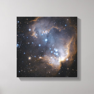 Newly formed stars canvas print