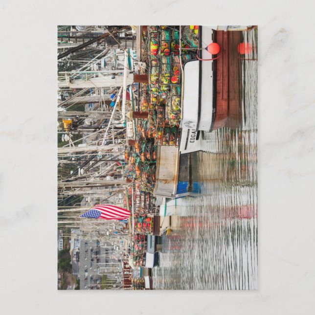 Newport Crab Boats in the Marina Photo Postcard (Front)