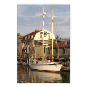 Newport Harbour Photo Print