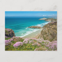 Newquay beach in North Cornwall wild flowers cliff