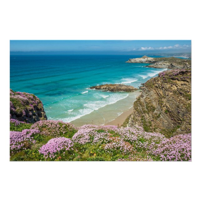 Newquay beach in North Cornwall wild flowers cliff Poster (Front)