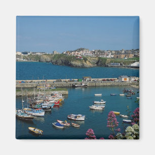 Newquay harbour, Cornwall, U.K. Magnet