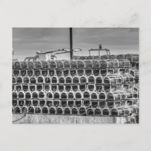 Newquay Harbour Lobster Pots Holiday Postcard