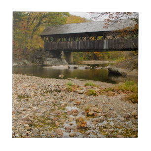 Newry Covered Bridge over river in autumn Tile