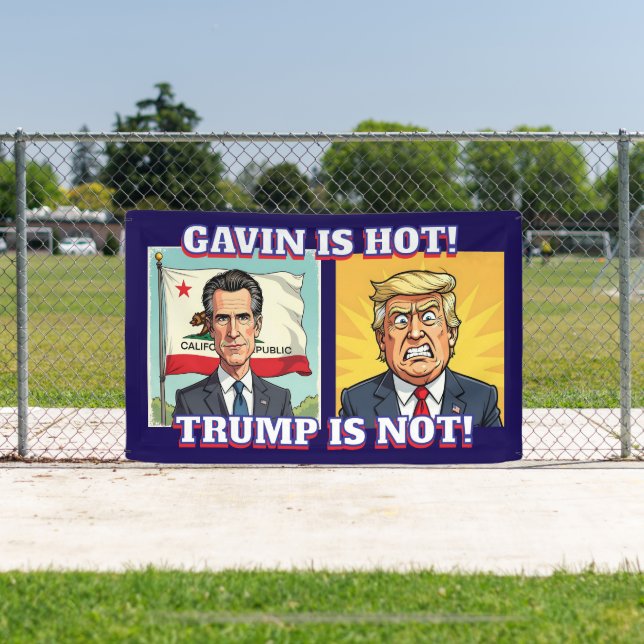 Newsom is Hot, Trump is Not | Funny Political Banner (Insitu)