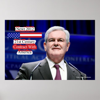 Newt 2012 - 21st Century Contract With America Poster