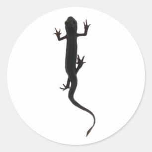 Newt amphibian creature silhouette classic round sticker
