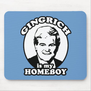 Newt Gingrich is my homeboy Mouse Mat