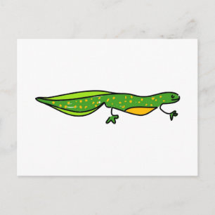 newt postcard