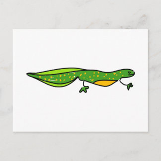 newt postcard