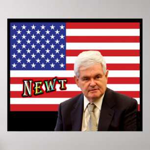 NEWT - Red, White, & Blue Poster