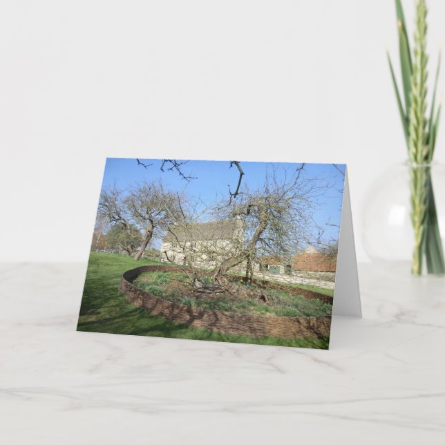 Newton's Tree at Woolthorpe Manor Card (Front)
