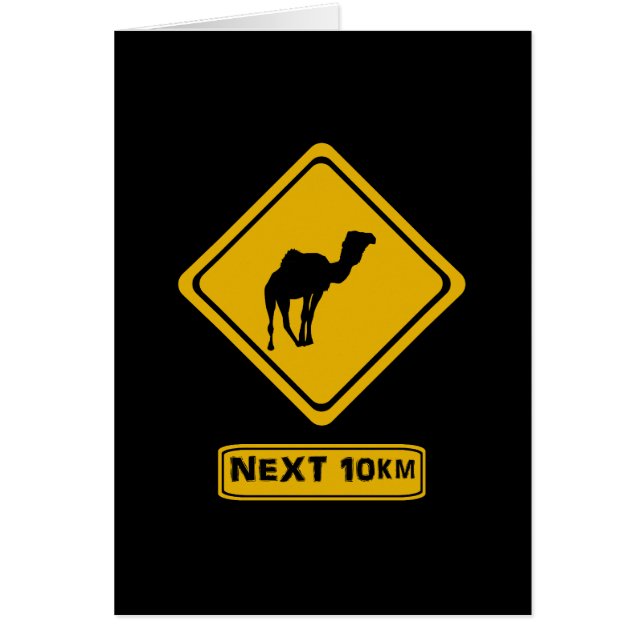 next 10 km camels (Front)