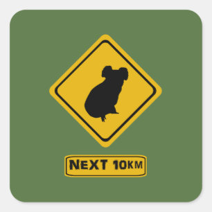next 10 km koalas square sticker