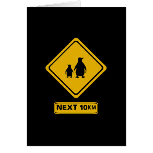 next 10 km penguins