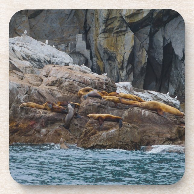 Next In Line Coaster (Front)