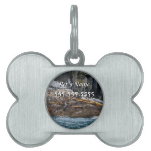 Next In Line Pet Name Tag