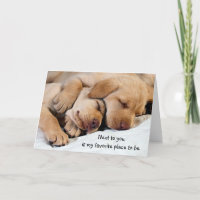 Next To You-My Favourite Place l Puppy Love