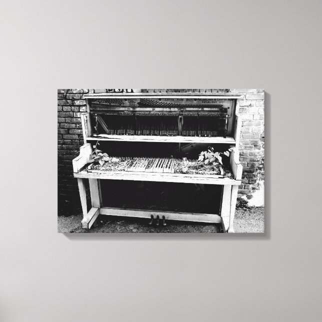 Next Years Crop of Musicians Canvas Print (Front)