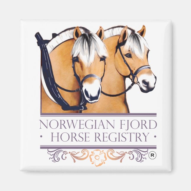 NFHR Logo Magnets (Front)