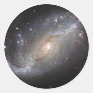 NGC 1672 Barred Spiral Galaxy Classic Round Sticker